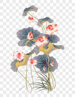 中国风淡雅盛开的荷花图片下载 荷花 中国风 水彩 莲花